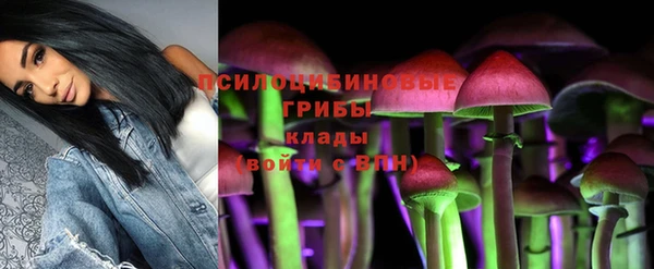 ГАЛЛЮЦИНОГЕННЫЕ ГРИБЫ Арсеньев