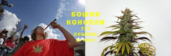 ГАЛЛЮЦИНОГЕННЫЕ ГРИБЫ Арсеньев