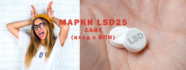 ГАЛЛЮЦИНОГЕННЫЕ ГРИБЫ Арсеньев