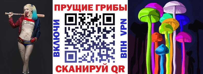 закладка  Тамбов  Псилоцибиновые грибы мицелий 